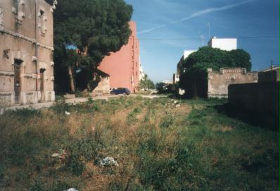 Looking South towards Manacor