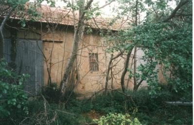 Much overgrown goods shed (?)